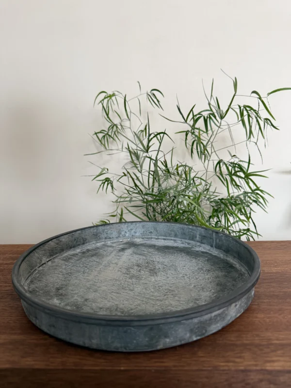 Plantebakke - mellem