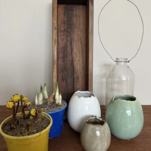 Forårsdekoration med erantis og krokus i fad