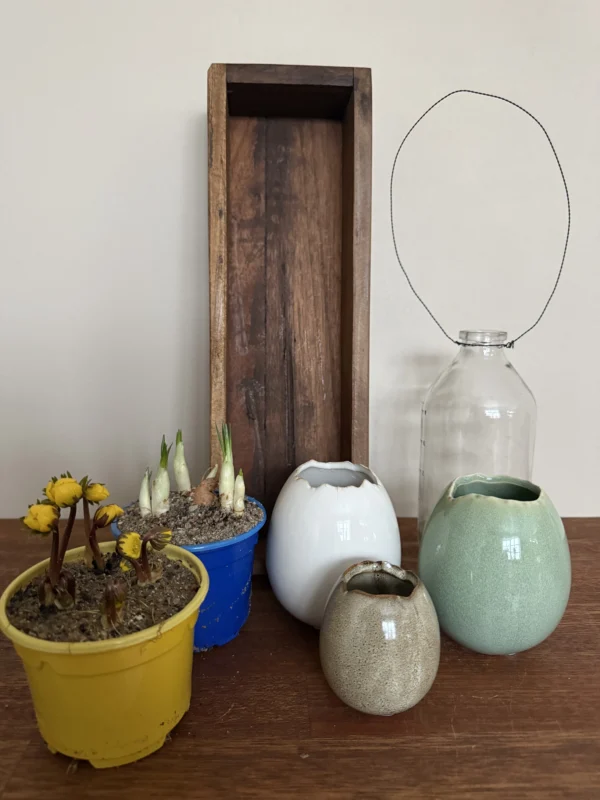 Forårsdekoration med erantis og krokus i fad