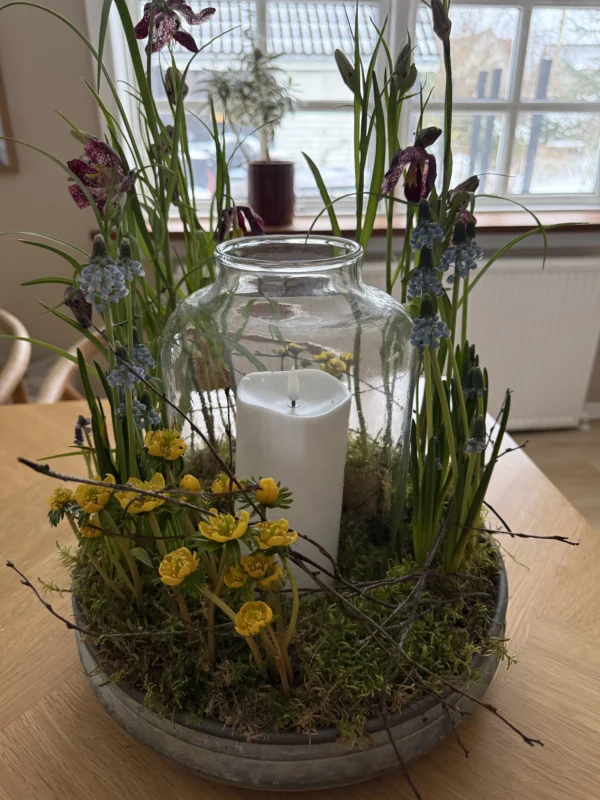 Dekoration med glasklokke og forårsløg