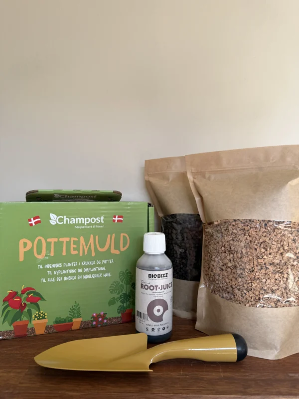 Alt man skal bruge til at plante en plante