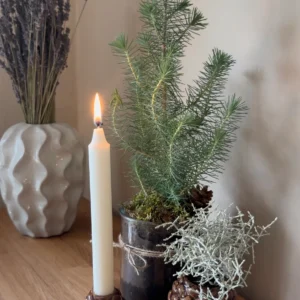 Efterårsdekoration med kogler og pinje